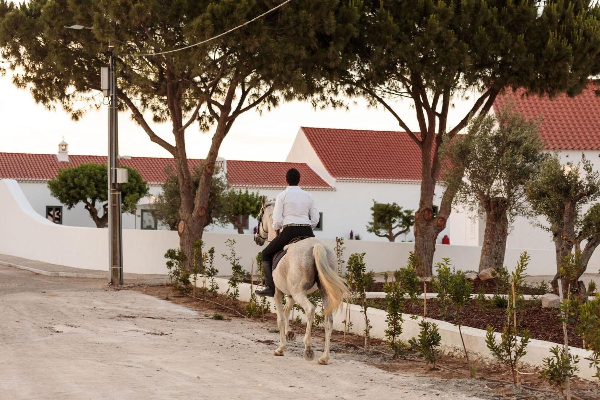 فيلا Casas Da Quinta De Cima فيلا نوفا دي كاسيلا المظهر الخارجي الصورة