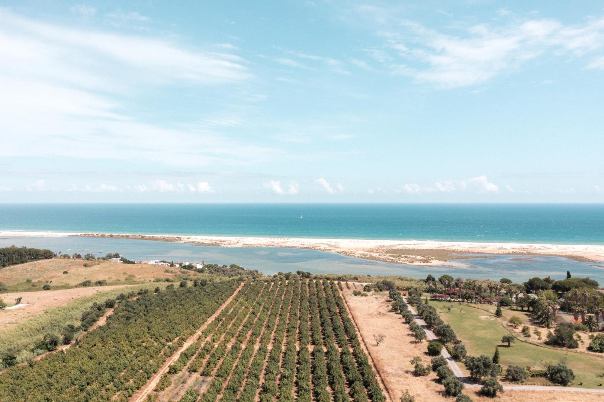 فيلا Casas Da Quinta De Cima فيلا نوفا دي كاسيلا المظهر الخارجي الصورة